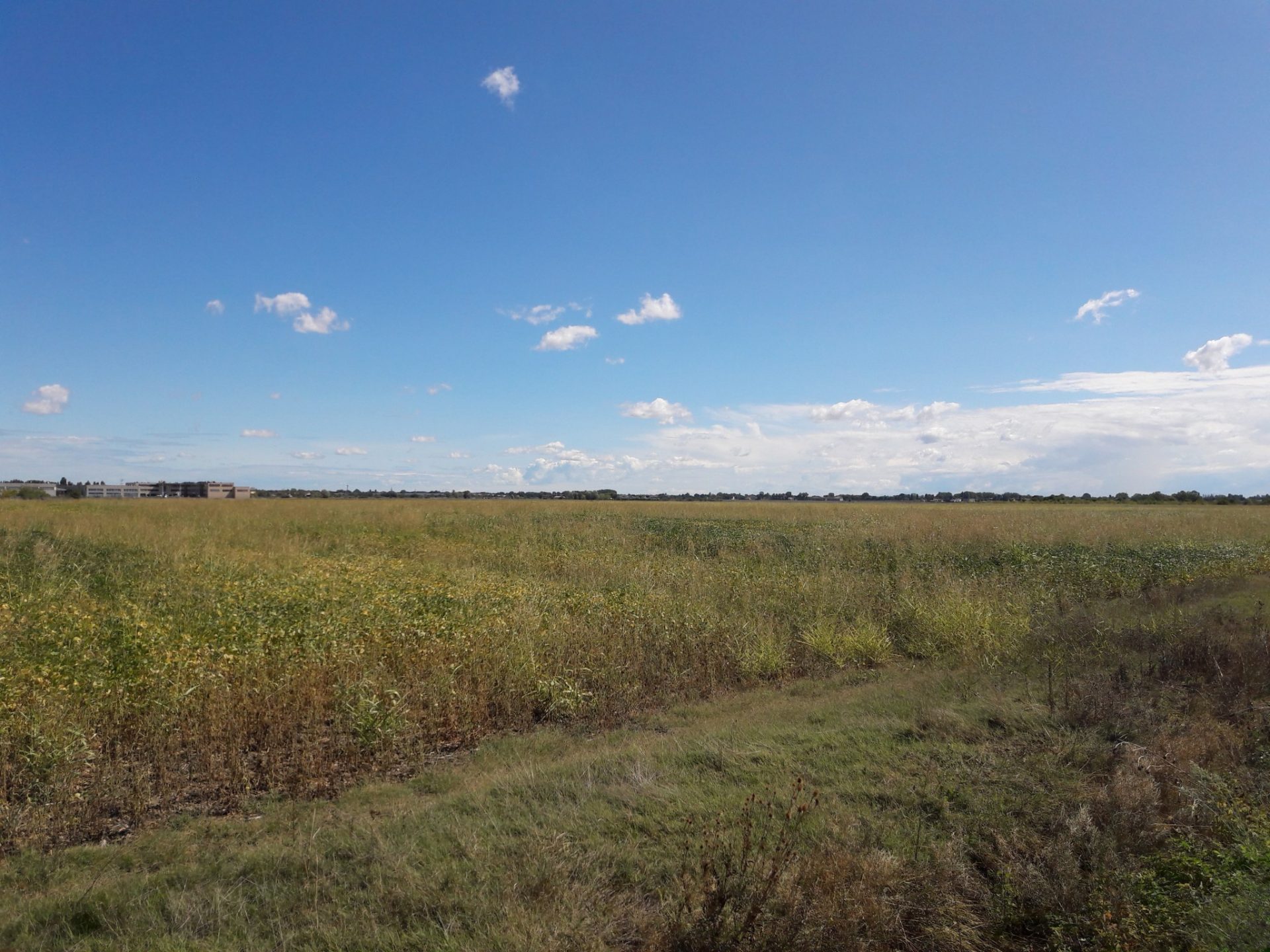 Poebene Agro Ferrara Emilia Romagna