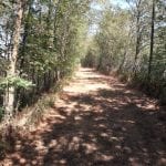 Naturpark Reisfelder Feuchtgebiete Störche