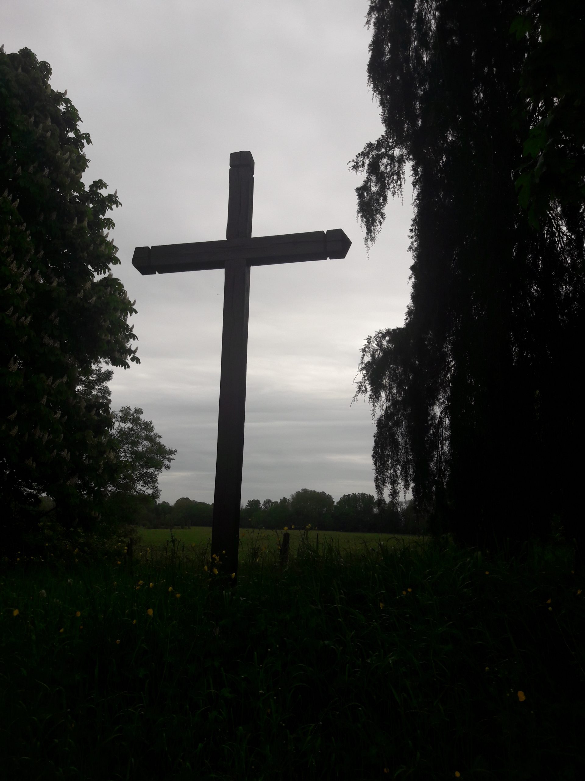 Cross